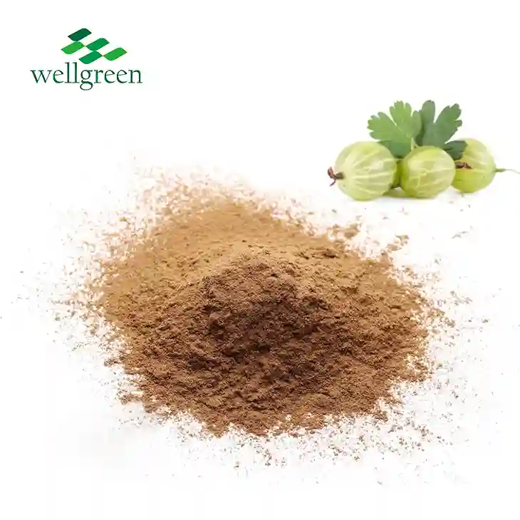 Gooseberry Powder